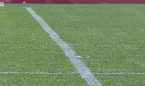 KY开云官网体育下载-铁西体育场草坪采用地热系统，李金羽：三个月改造好，我都不敢想