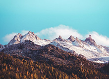 开云体育——点燃你的运动激情，畅享极致体验